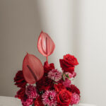kaboompics_red-flowers-34629